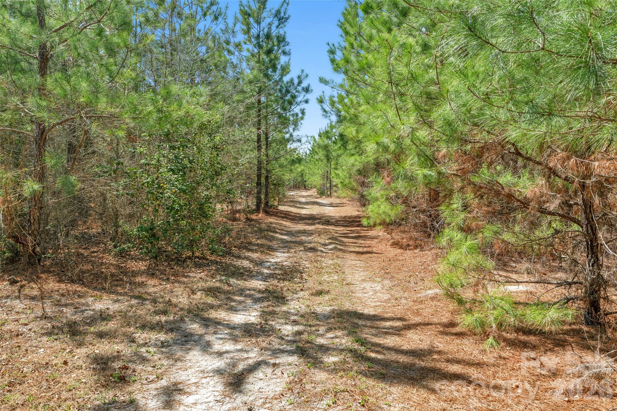 931 Charlie Johnson Road, Unit 7 Kershaw, SC 29067 - Photo 24 of 34