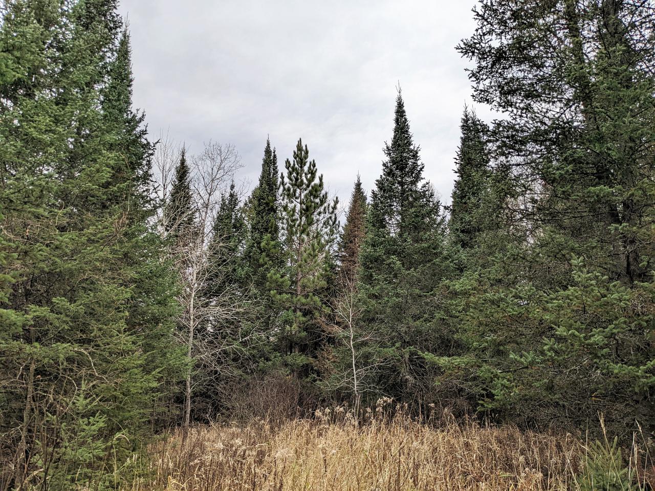 On River Road Brantwood, WI 54513 - Photo 2 of 10 Gallery Image 2