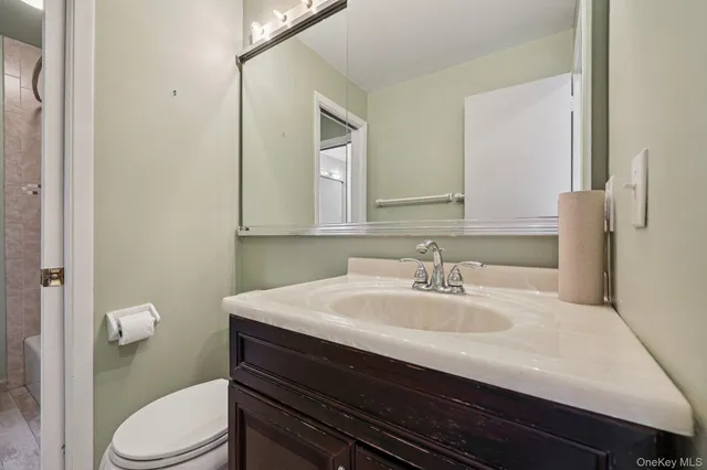 a bathroom with a sink a toilet a mirror and vanity