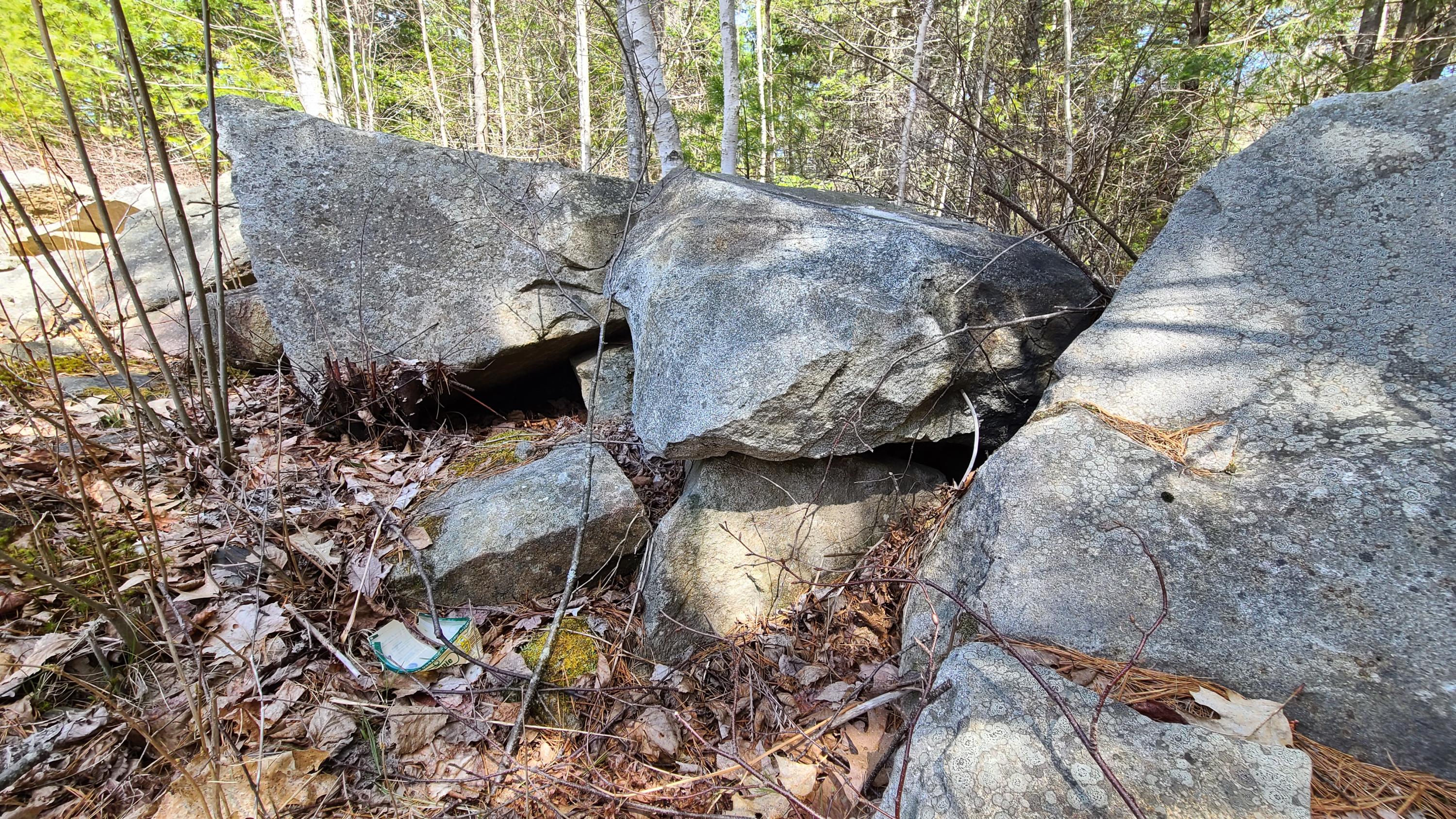 12 True Road Lincolnville, ME 04849 - Photo 19 of 19 Yard