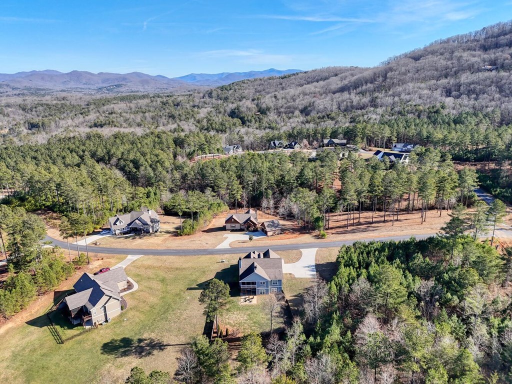 161 Loop Lane Blairsville, GA 30512 - Photo 54 of 67 a view of a lake with mountains and valleys in the background