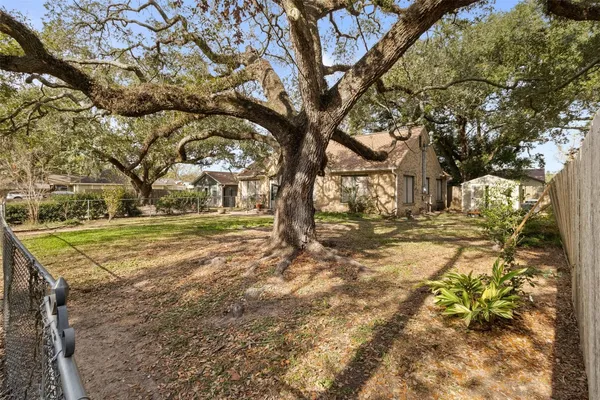 a view of yard with tree