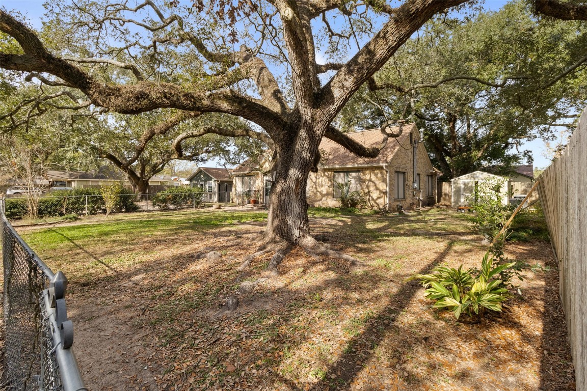 205 Jephson Street Alvin, TX 77511 - Photo 39 of 40 a view of yard with tree