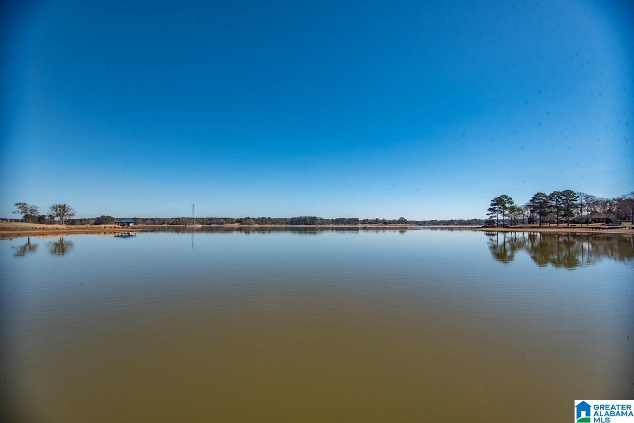 17 Seddon Point Pell City, AL 35128 - Photo 38 of 39