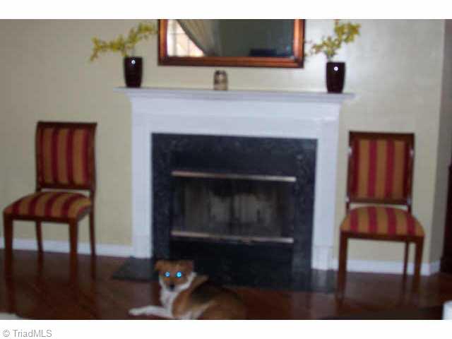 5406 Running Mead Road Pleasant Garden, NC 27313 - Photo 4 of 9 Other. Your dog, too, can warm by the fireplace in this lovely home.