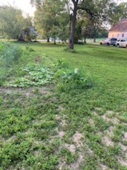 14-n115 Reinking Road Pingree Grove, IL 60140 - Photo 13 of 14 a view of a field with a tree in front of the house