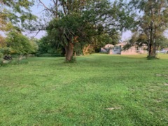 14-n115 Reinking Road Pingree Grove, IL 60140 - Photo 4 of 14 a green field with lots of trees