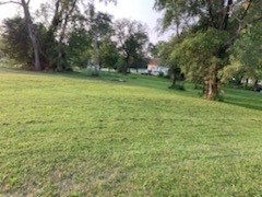 14-n115 Reinking Road Pingree Grove, IL 60140 - Photo 5 of 14 a view of a green field with trees in the background