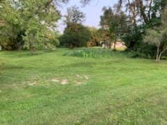 14-n115 Reinking Road Pingree Grove, IL 60140 - Photo 7 of 14 a view of grassy field with trees