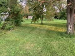 14-n115 Reinking Road Pingree Grove, IL 60140 - Photo 8 of 14 a view of outdoor space with trees all around