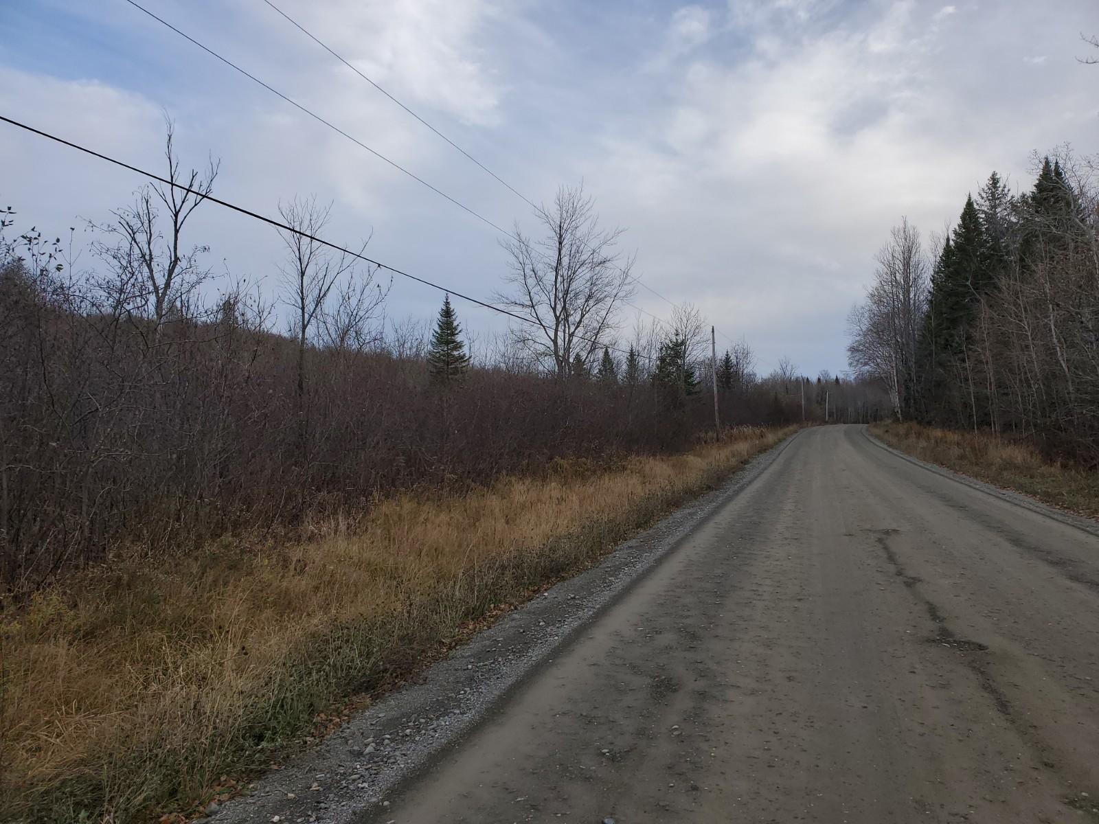 20201030_161802 (1)