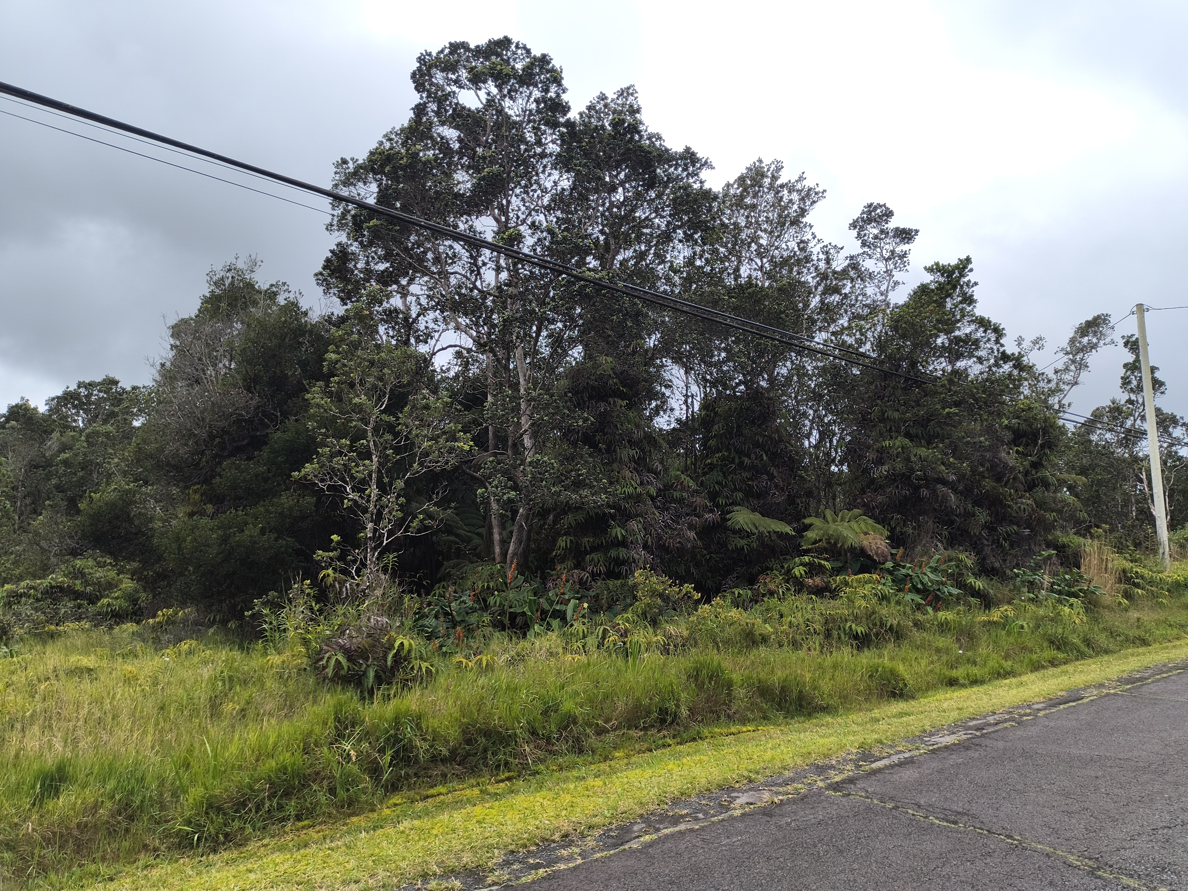 Lot 53-b-25 Lot 53-b-25 Old Volcano Road Volcano, HI 96785 - Photo 1 of 6 Gallery Image 1