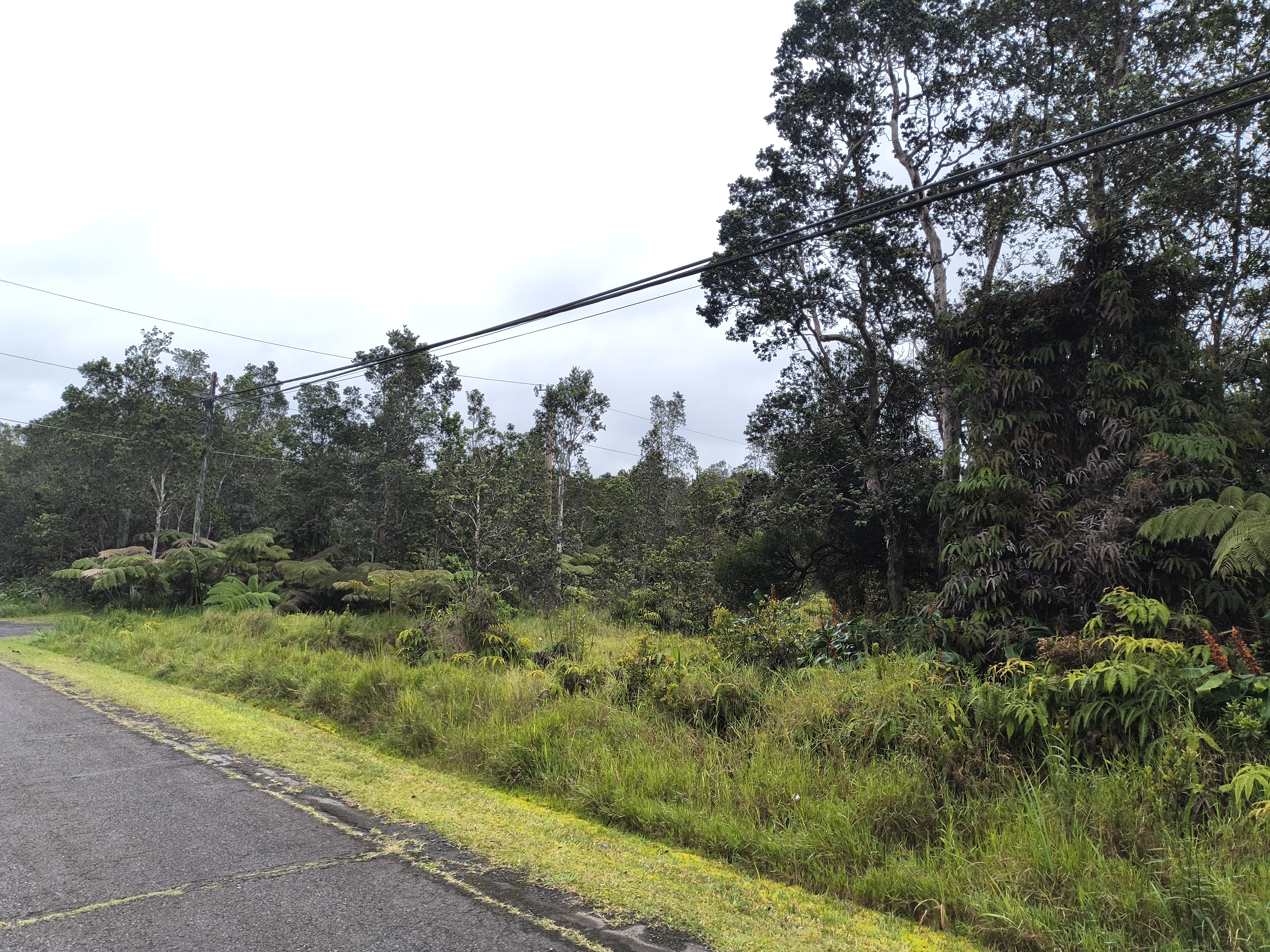 Lot 53-b-25 Lot 53-b-25 Old Volcano Road Volcano, HI 96785 - Photo 3 of 6 Gallery Image 3