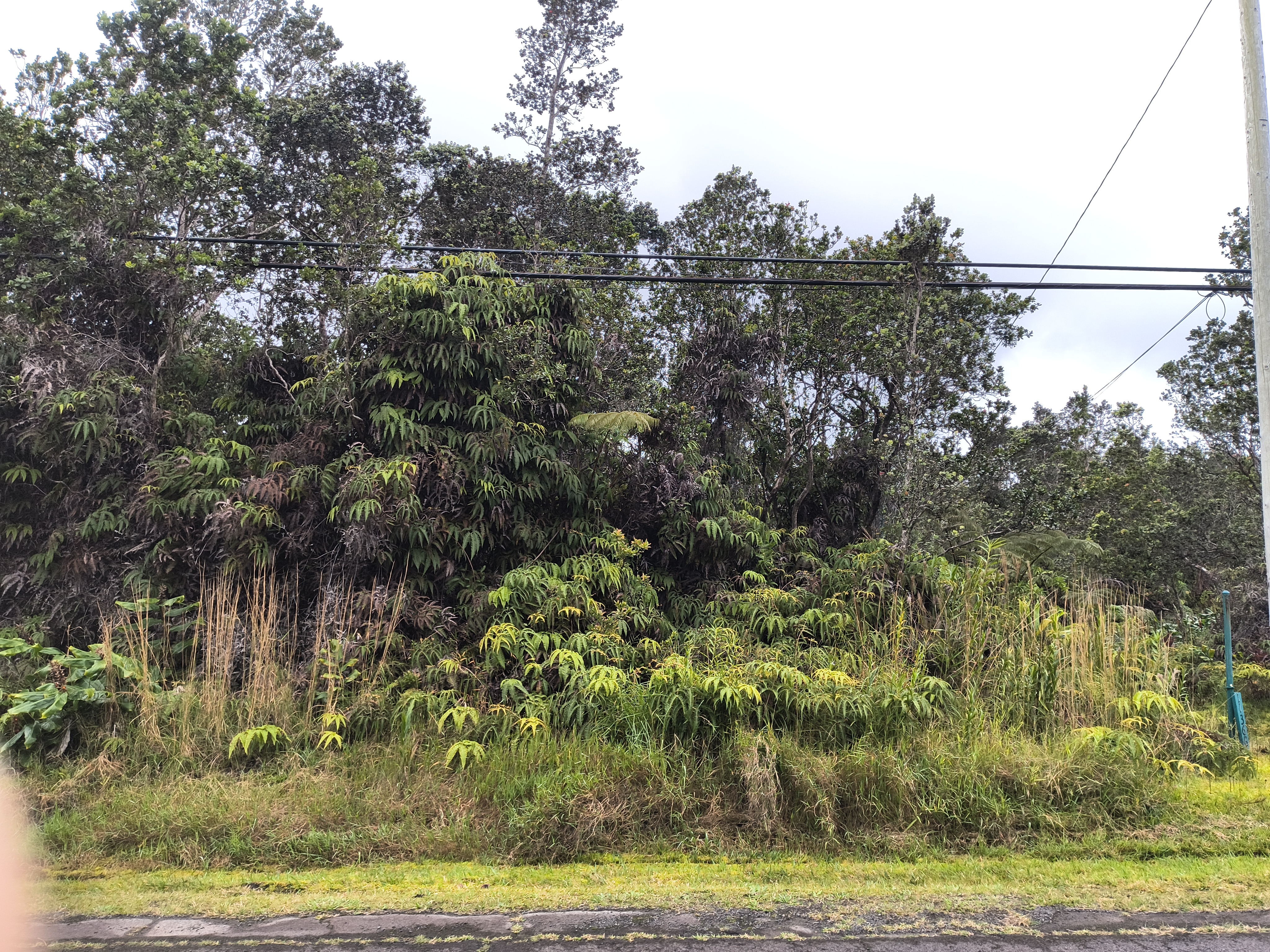Lot 53-b-25 Lot 53-b-25 Old Volcano Road Volcano, HI 96785 - Photo 4 of 6 Gallery Image 4