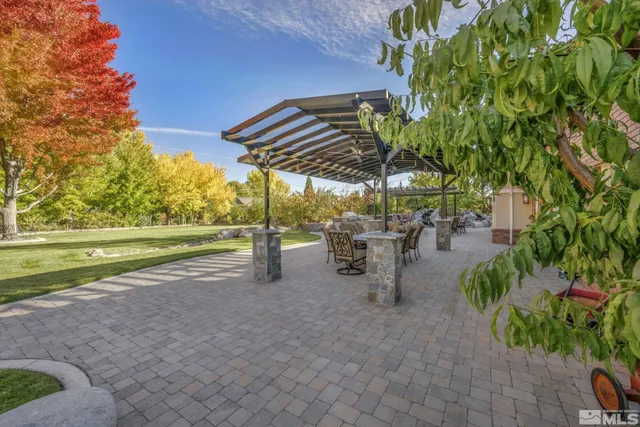 a view of backyard with tree