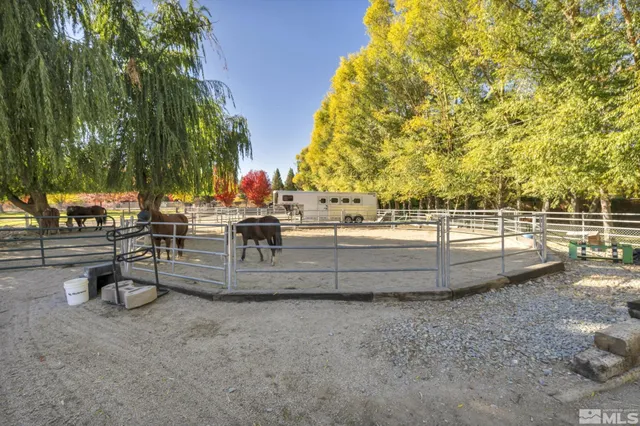 a view of swimming pool with outdoor seating and trees