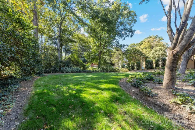 a view of green field with trees in the background