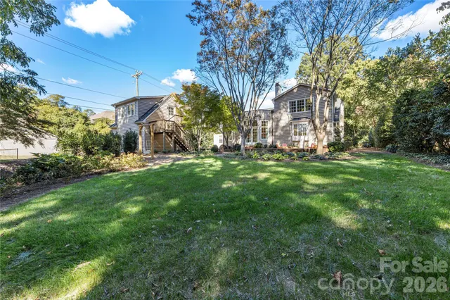 a view of a yard with plants and large trees