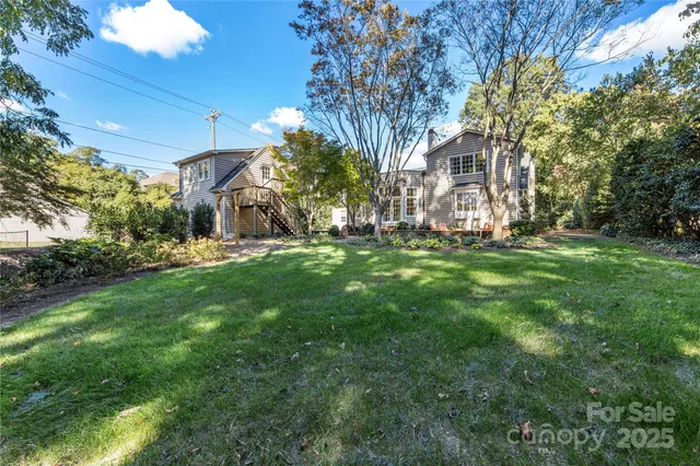 a view of a yard with plants and large trees