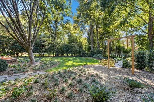 a view of backyard with tree