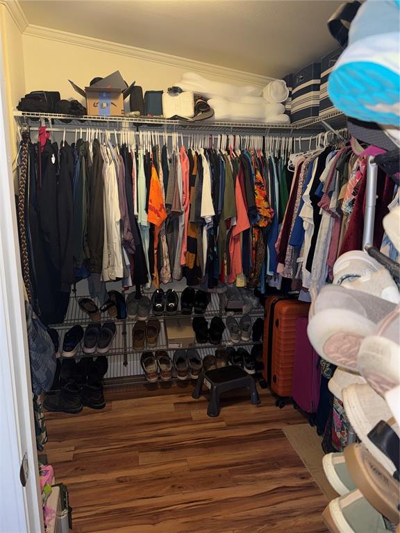 20732 South Grove Loop, Unit 630 Lutz, FL 33558 - Photo 14 of 28 a view of walk in closet with clothes and shoes