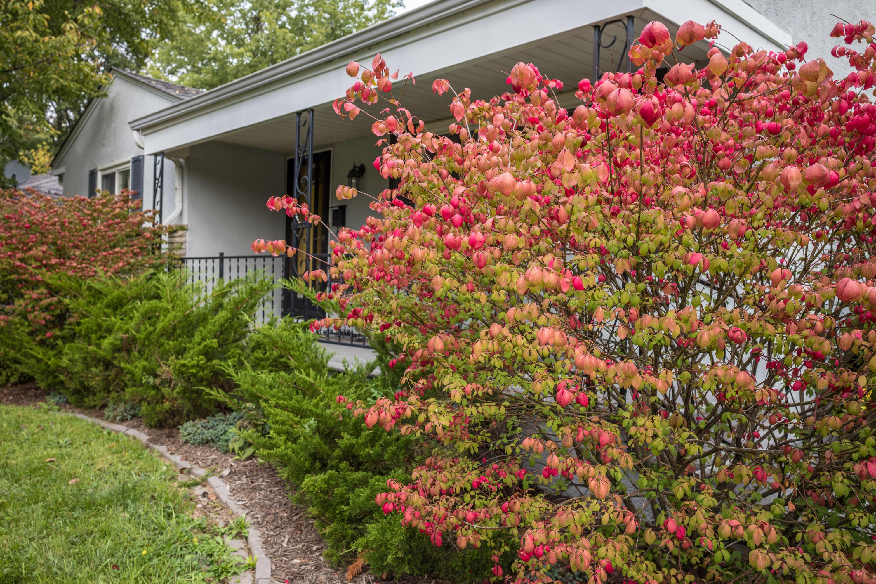 4456 Midvale Road Columbus, OH 43224 - Photo 5 of 56 Gallery Image 5