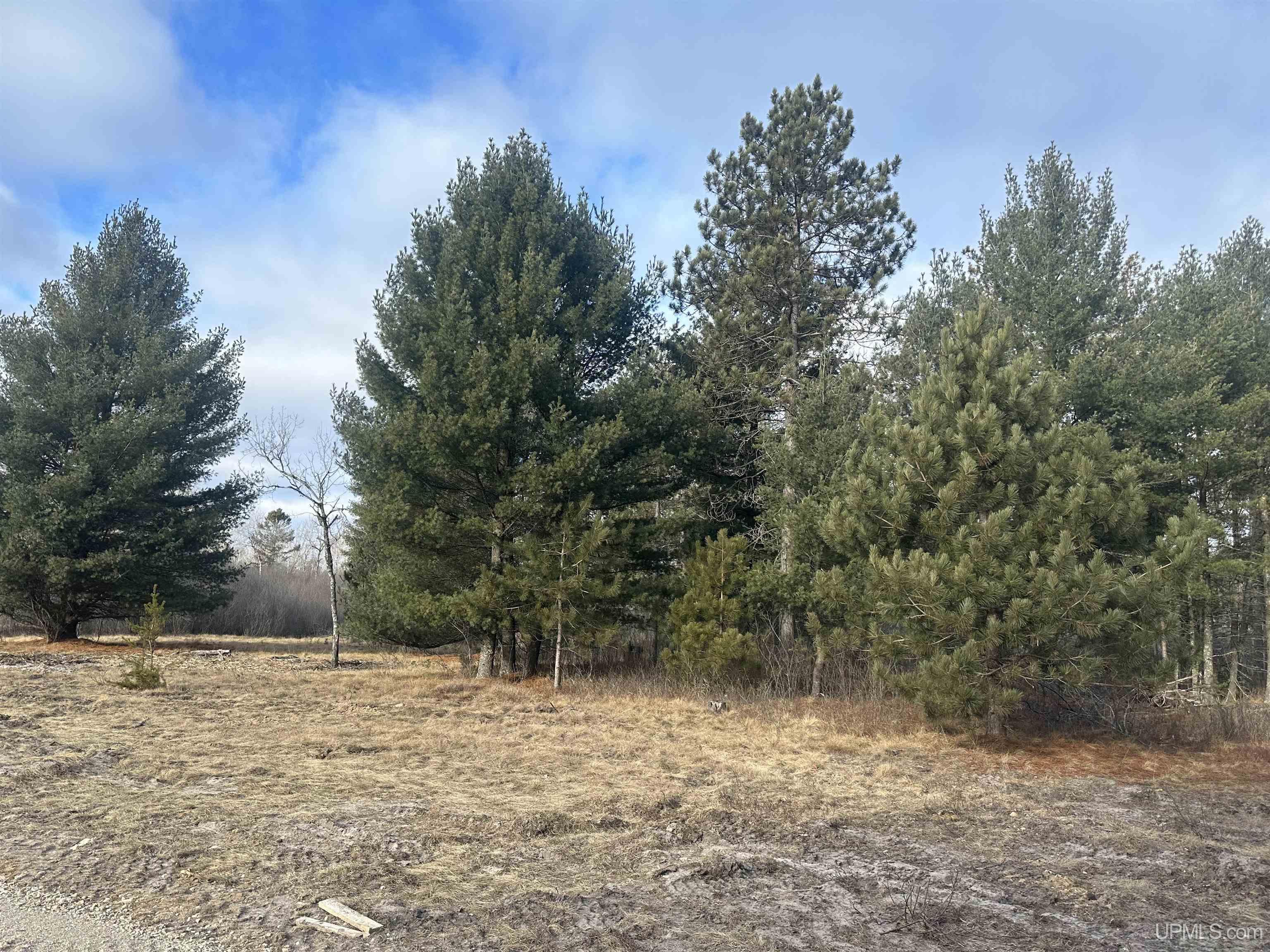 Tbd North Tbd N Old State South Ii Road Escanaba, MI 49829 - Photo 6 of 7