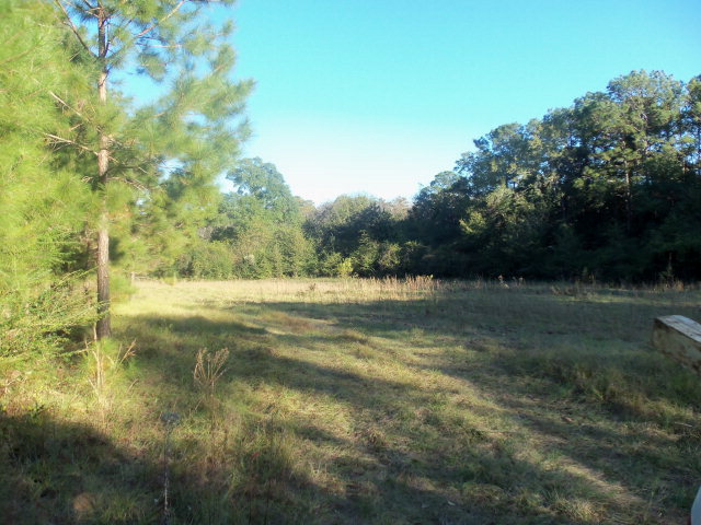 0 Whitaker Road Slocomb, AL 36375 - Photo 1 of 1