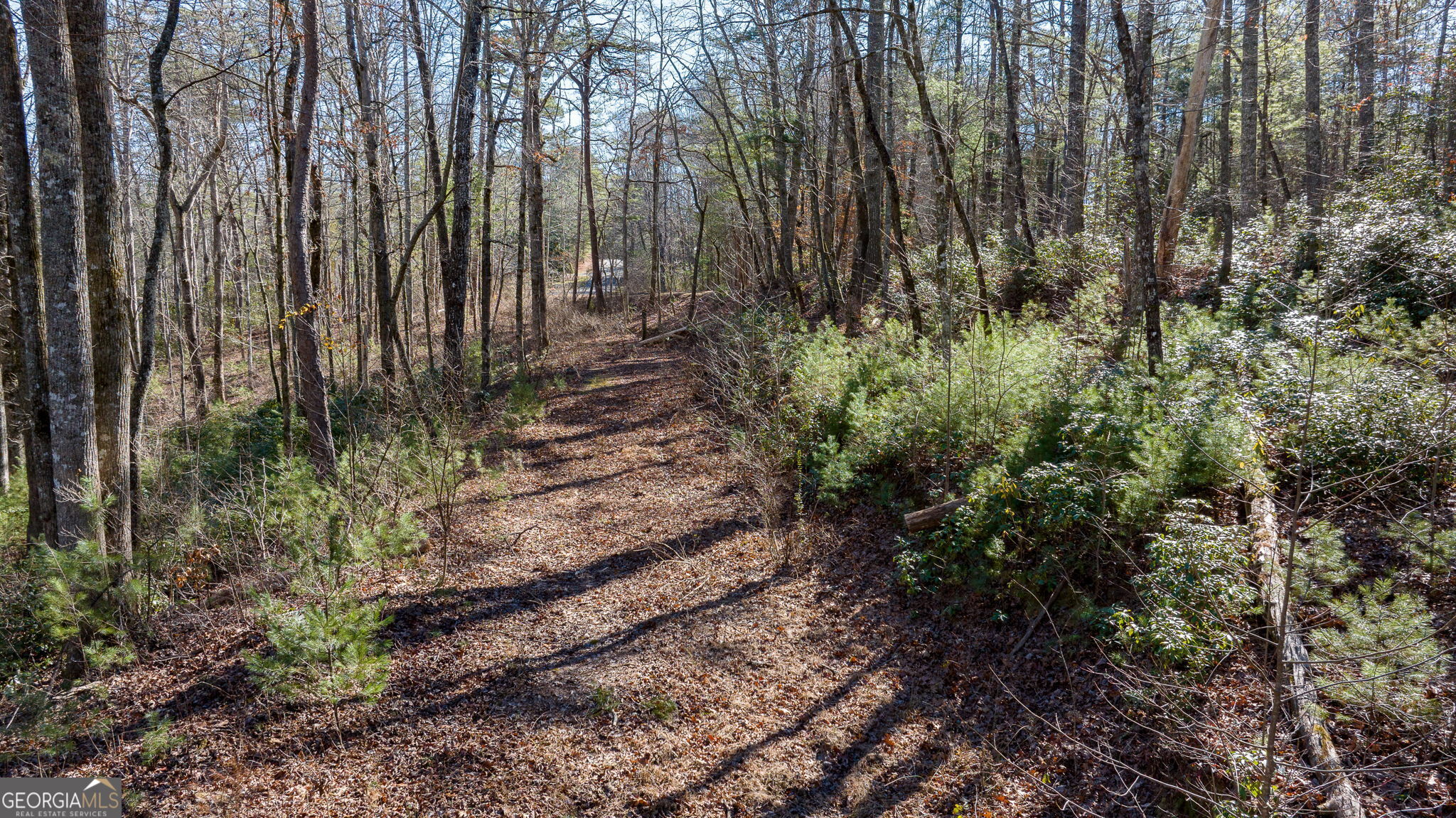 0 Highway 356 Helen, GA 30545 - Photo 11 of 39 a view of backyard with green space
