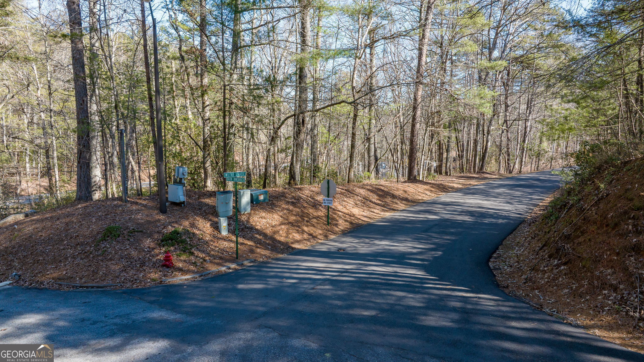0 Highway 356 Helen, GA 30545 - Photo 13 of 39 a view of yard with tree