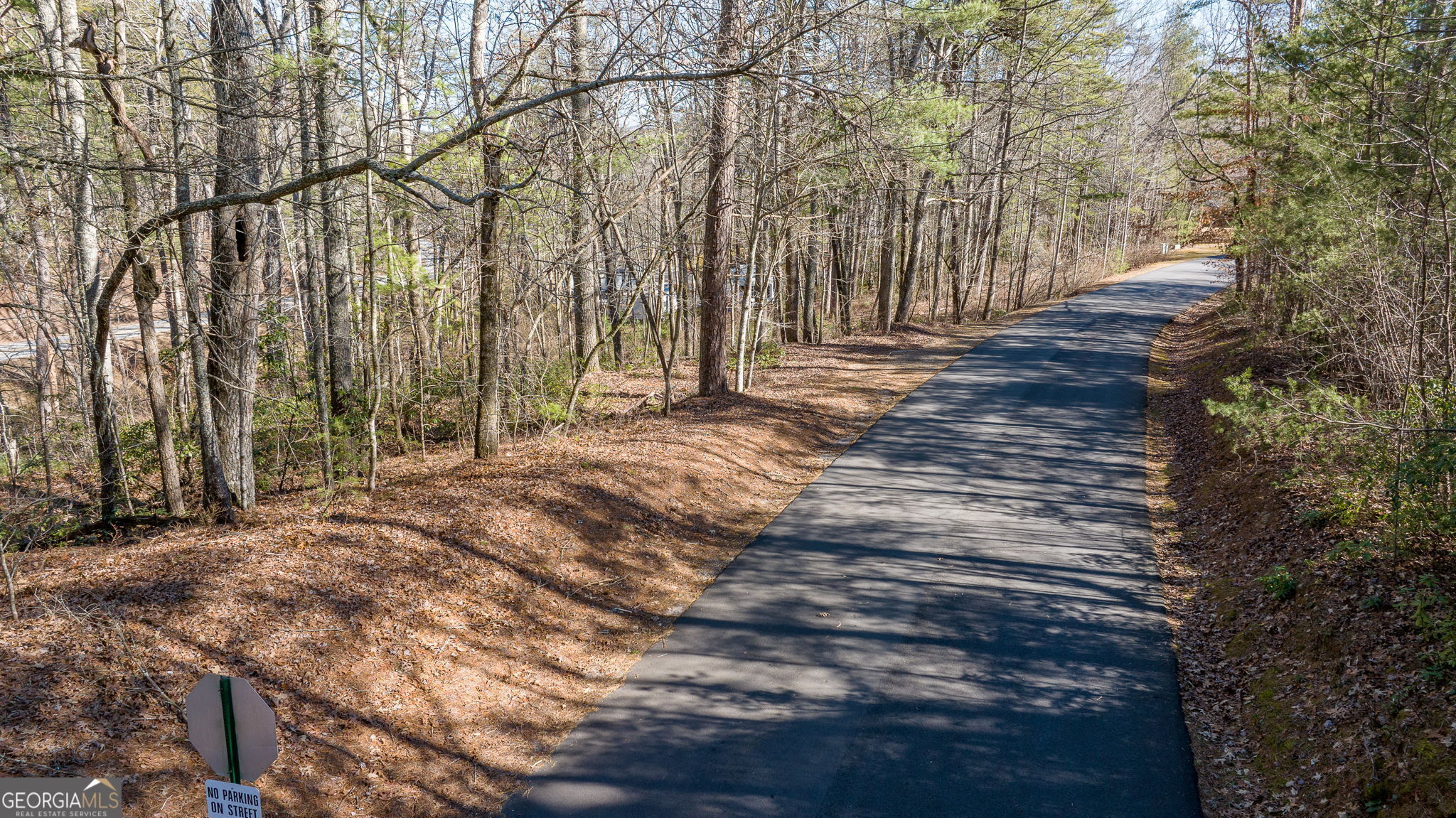 0 Highway 356 Helen, GA 30545 - Photo 14 of 39 a view of backyard with tree