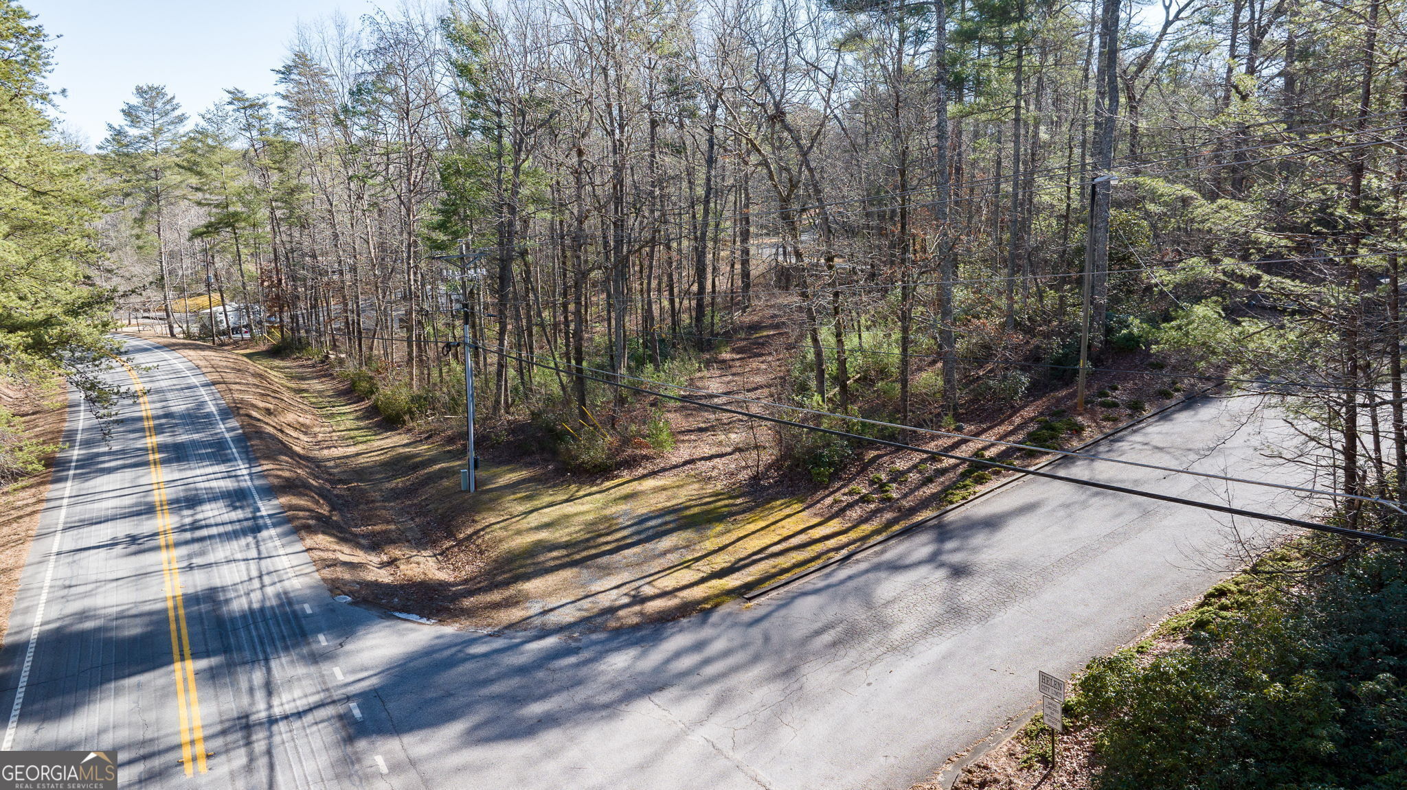 0 Highway 356 Helen, GA 30545 - Photo 15 of 39 a view of a yard with plants and trees