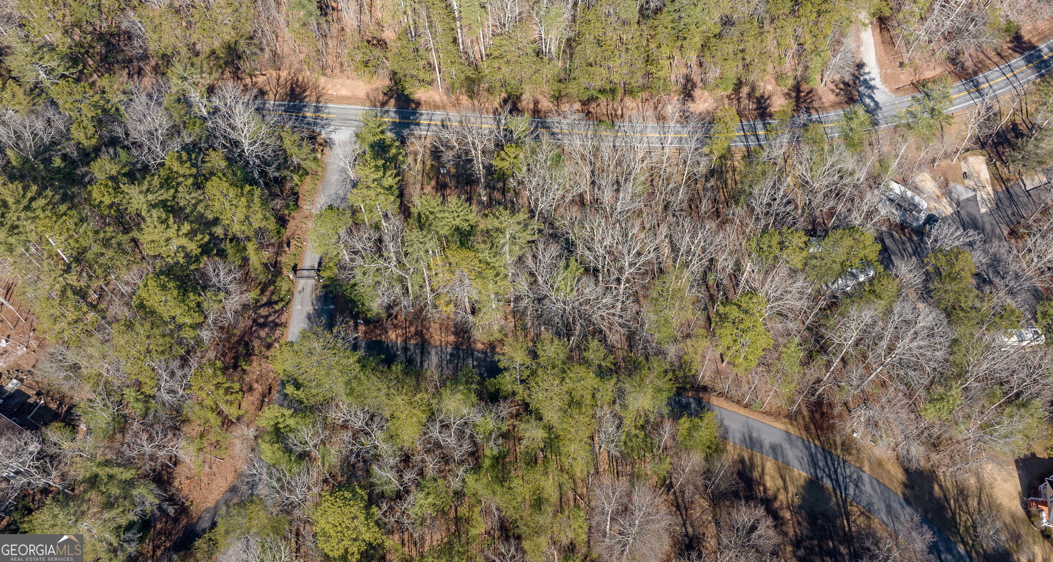 0 Highway 356 Helen, GA 30545 - Photo 29 of 39 a view of a lush green forest