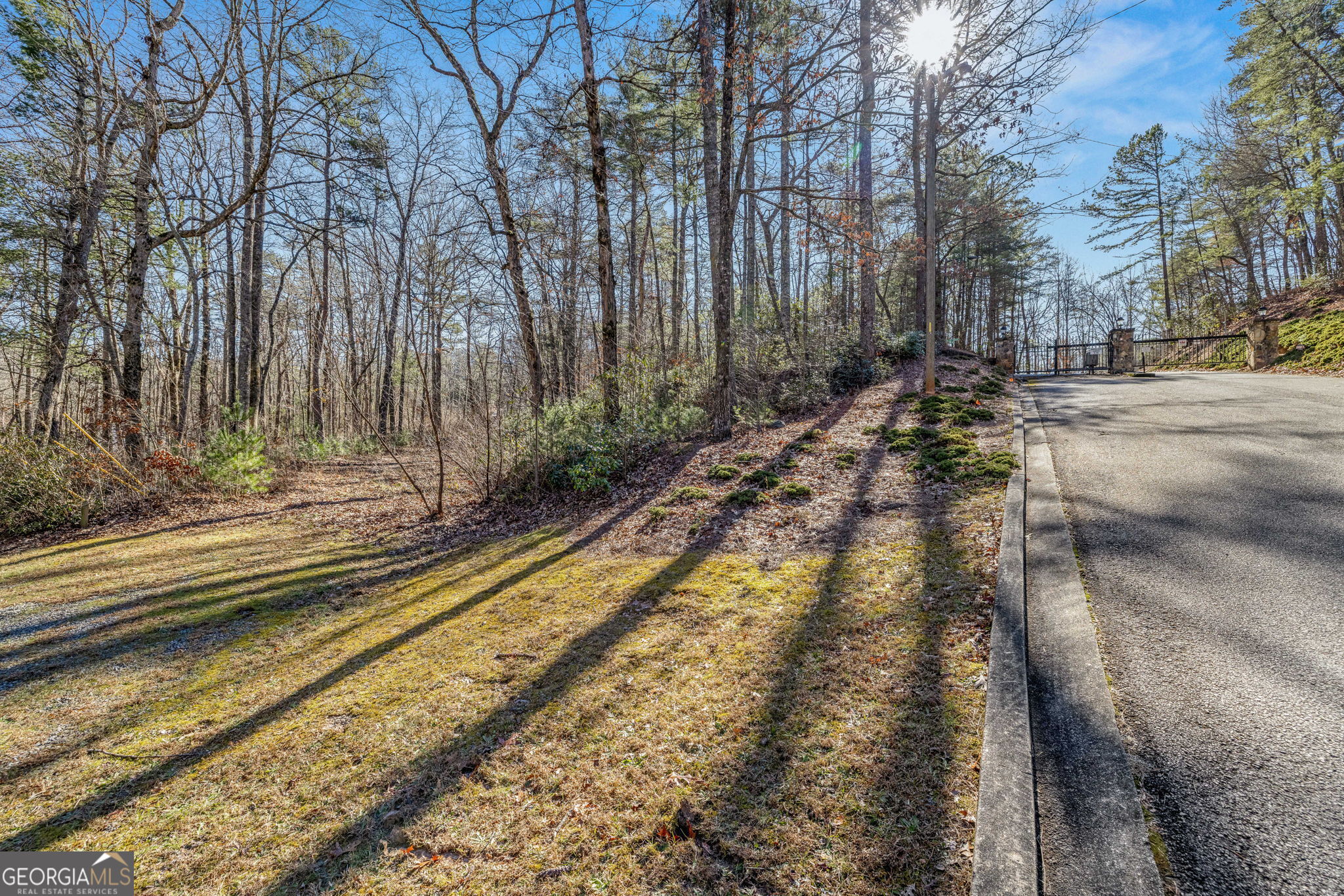 0 Highway 356 Helen, GA 30545 - Photo 7 of 39 a view of a yard with large trees