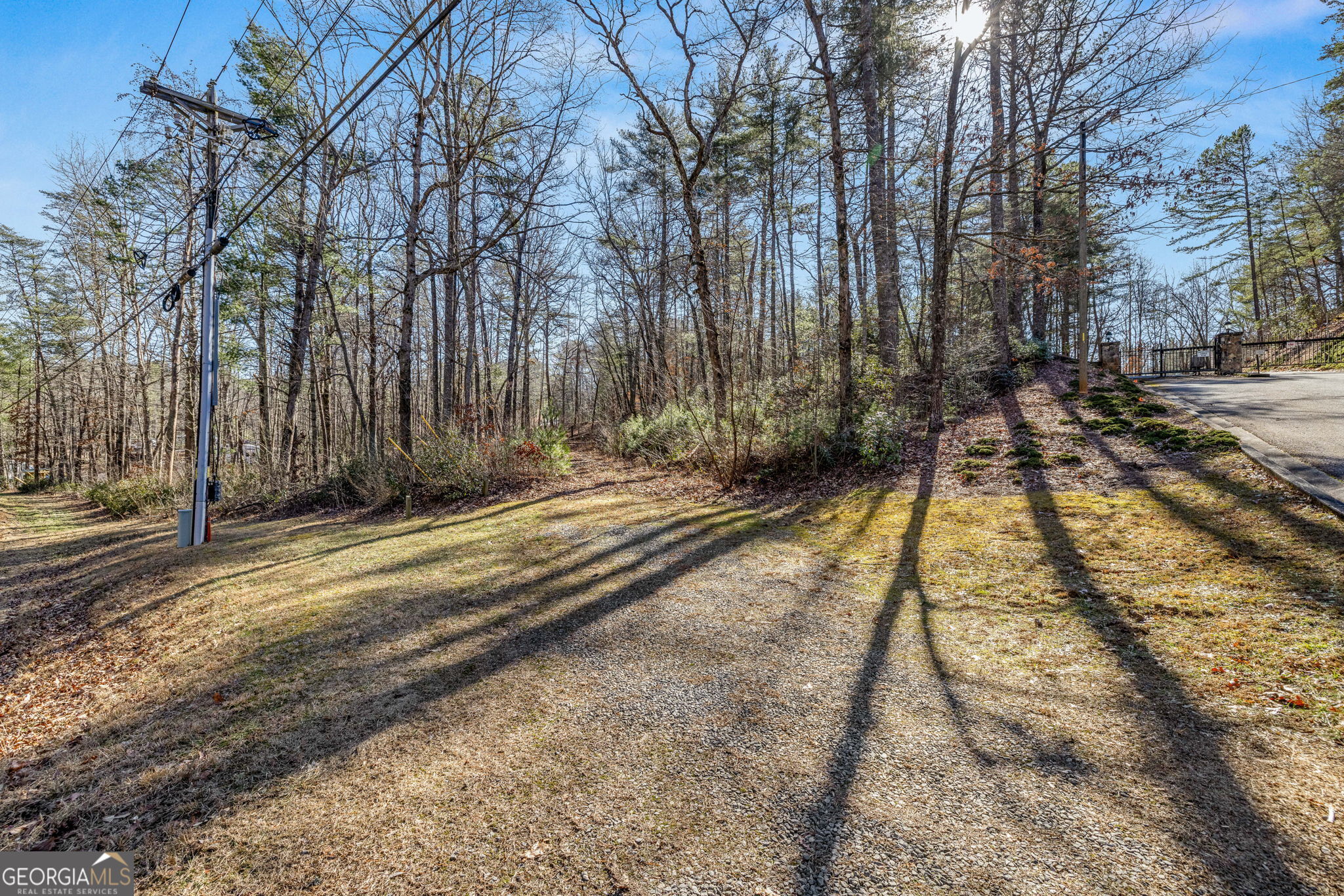 0 Highway 356 Helen, GA 30545 - Photo 9 of 39 a view of a backyard with large trees