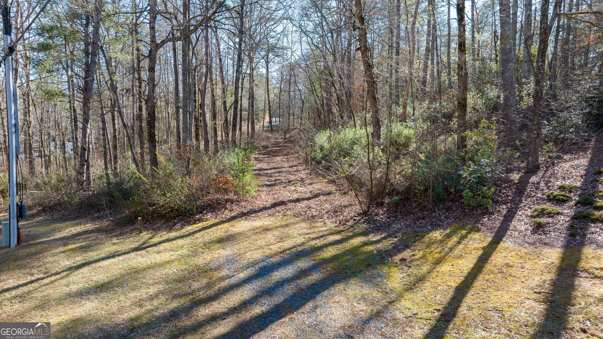 0 Highway 356 Helen, GA 30545 - Photo 10 of 39 a view of backyard with green space