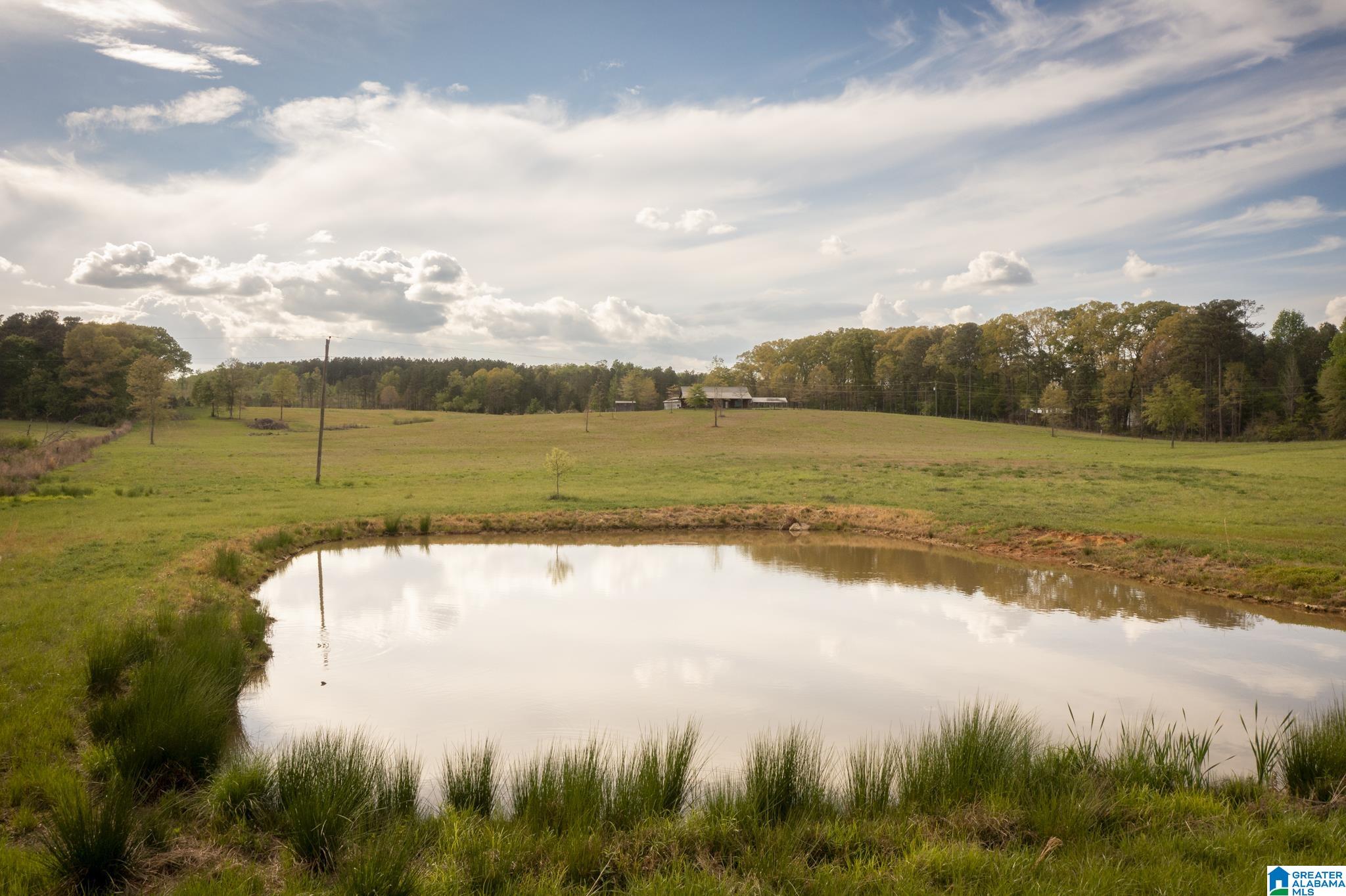 1325 Ledbetter Road Munford, AL 36268 - Photo 66 of 85