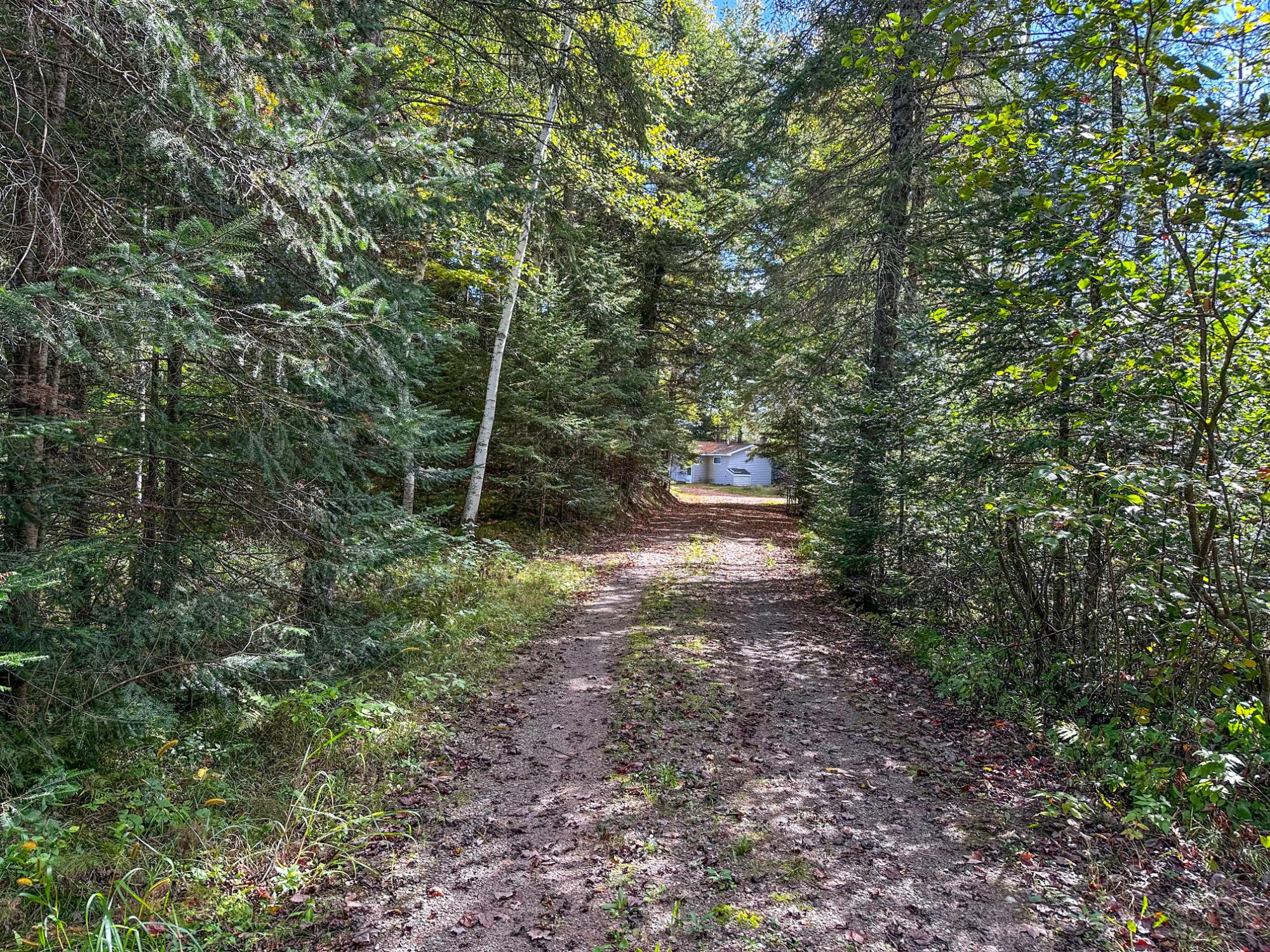 N16292 Silver Birch Road Park Falls, WI 54552 - Photo 2 of 44 Gallery Image 2
