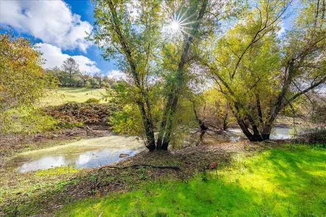 a view of a yard with a tree