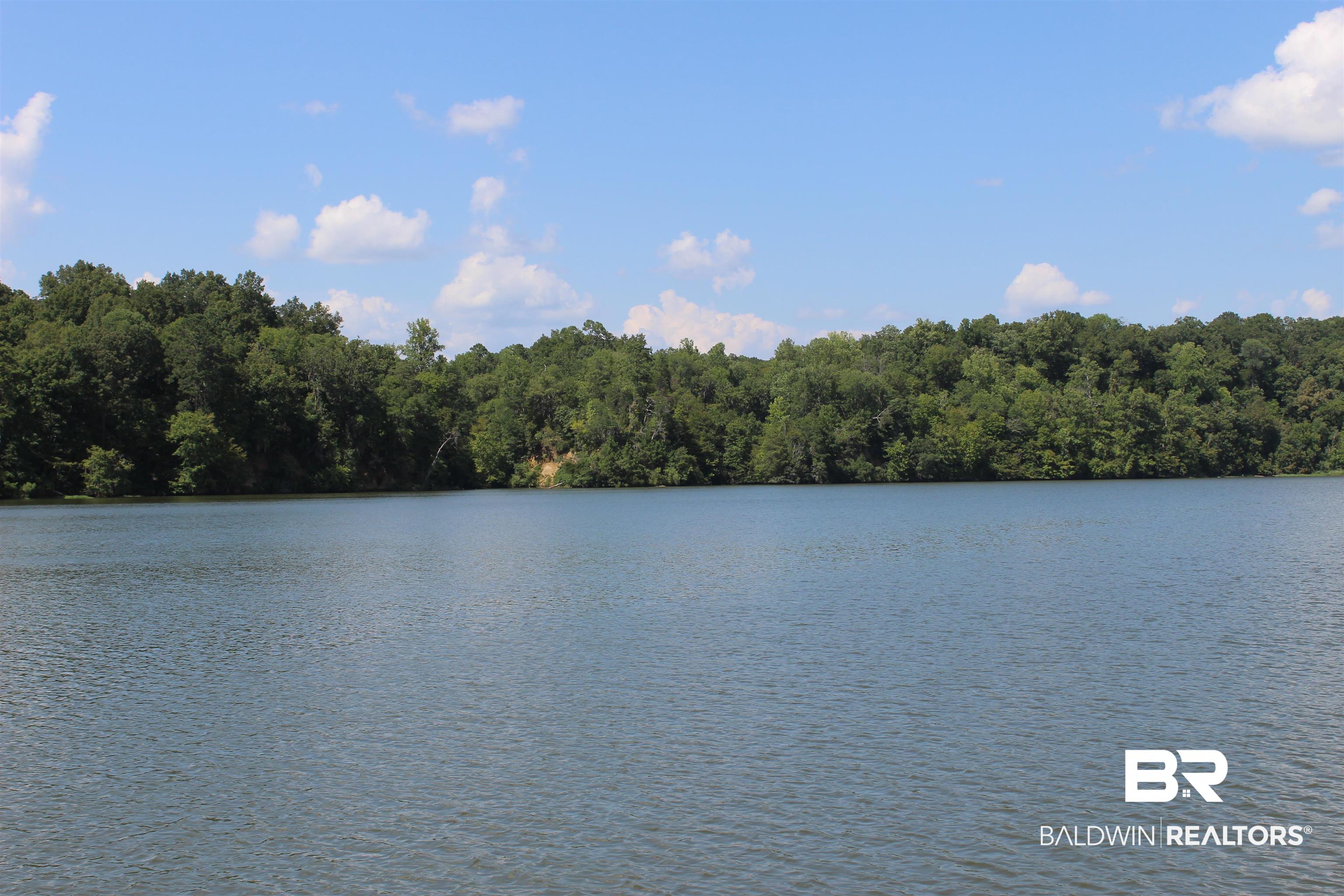 7258 Henderson Road Lowndesboro, AL 36752 - Photo 4 of 22 Water view with a heavily wooded area