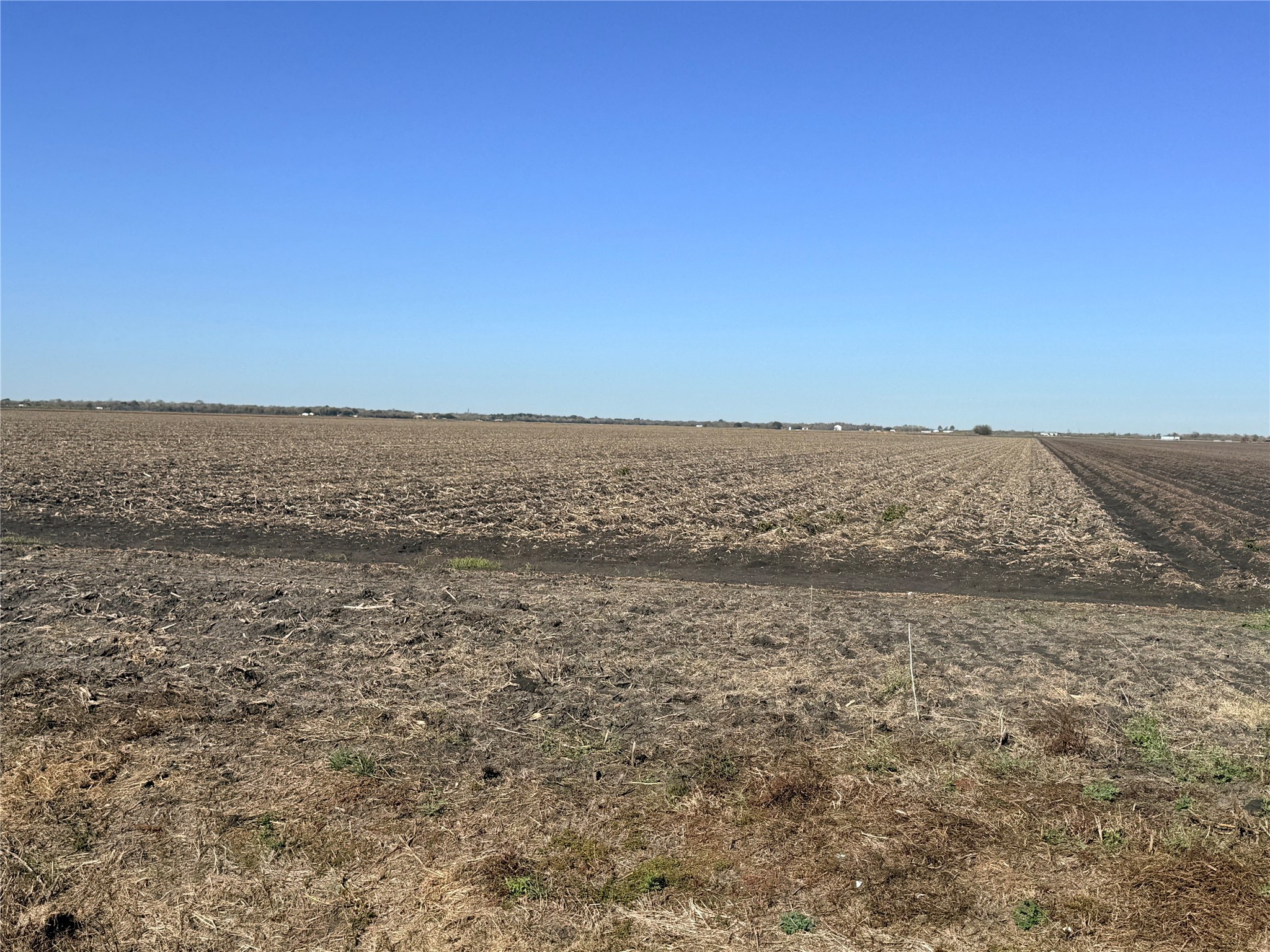 a view of an ocean beach