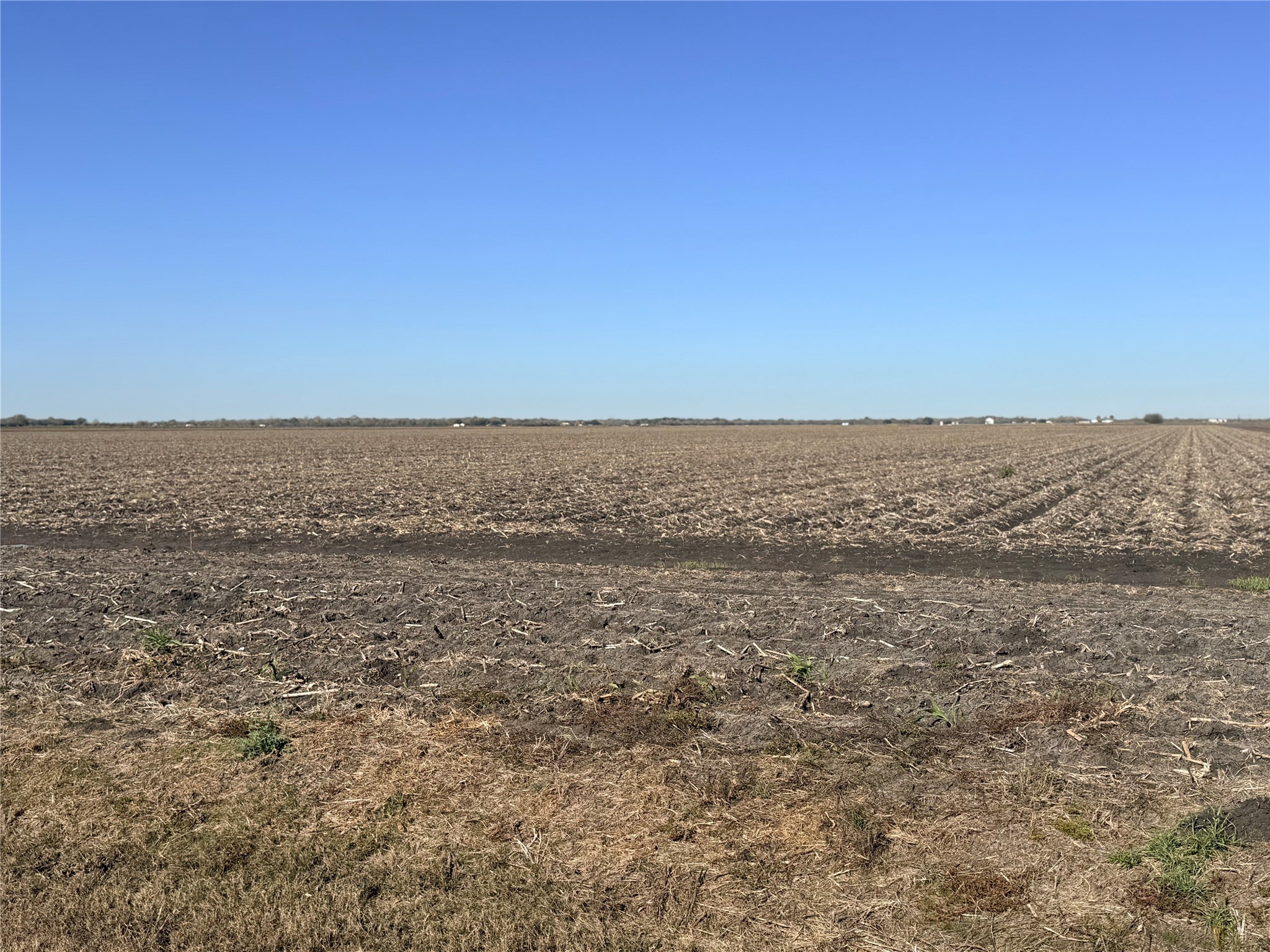 0 Pink Taylor Run Road Kendleton, TX 77417 - Photo 2 of 6 a view of an ocean beach