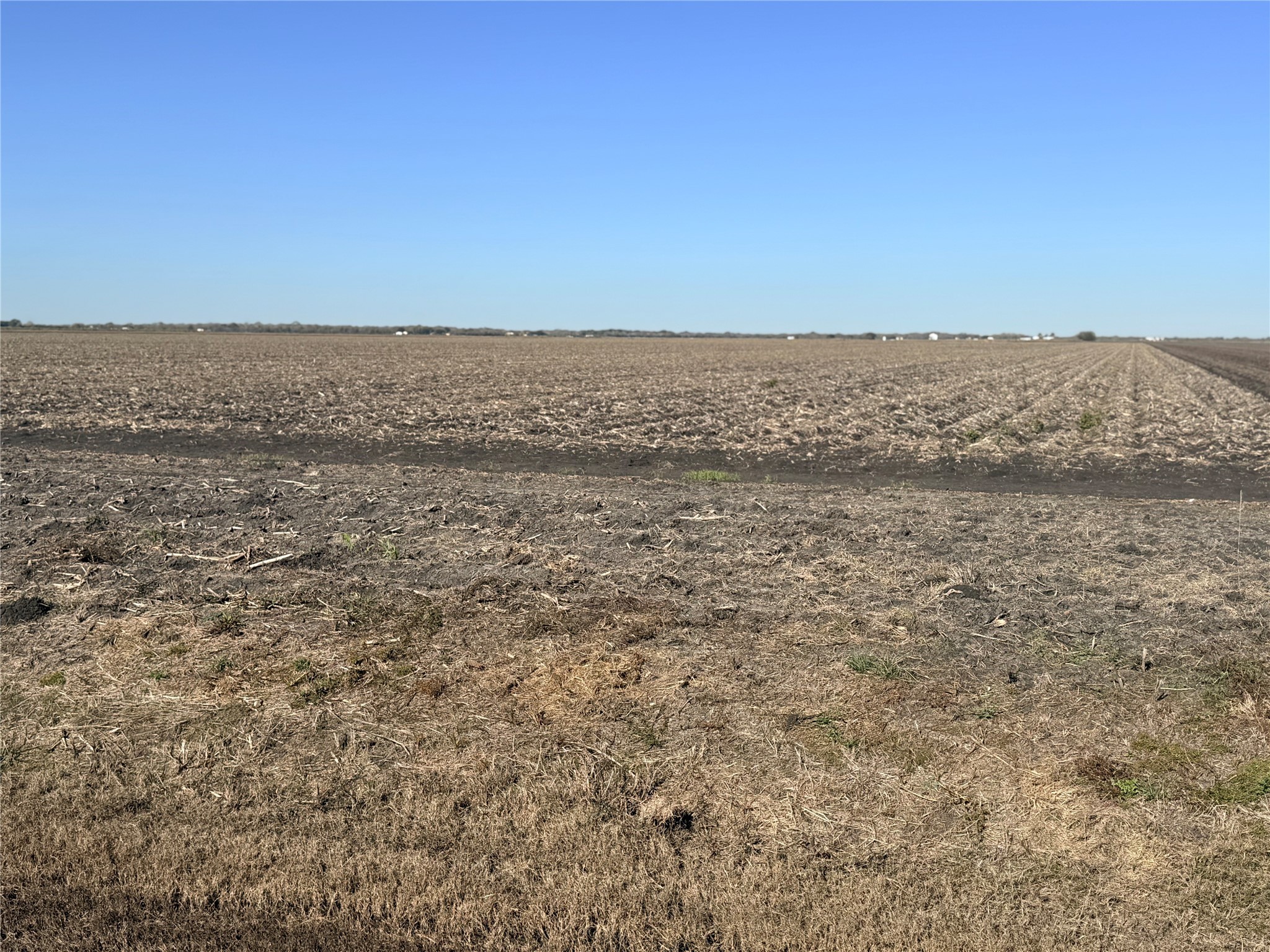 0 Pink Taylor Run Road Kendleton, TX 77417 - Photo 4 of 6 a view of ocean view with beach