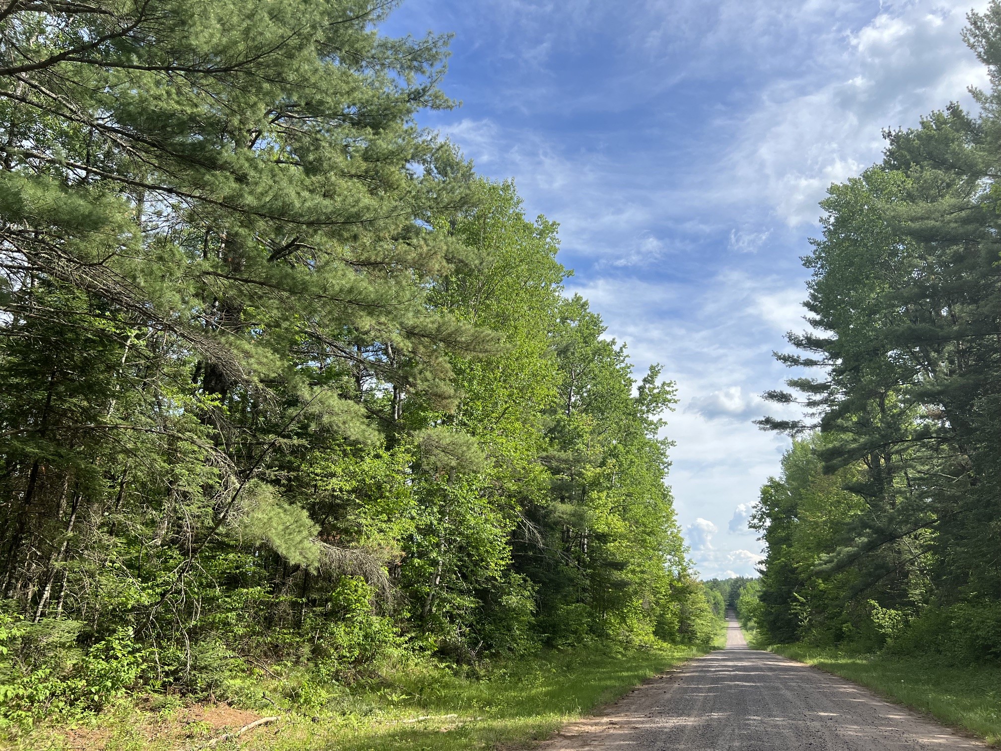 Lot 1 North Smith Road Couderay, WI 54828 - Photo 6 of 29