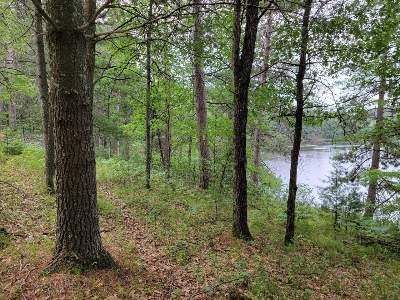 2425 Point O Pines Road Tomahawk, WI 54487 - Photo 10 of 30 Gallery Image 10