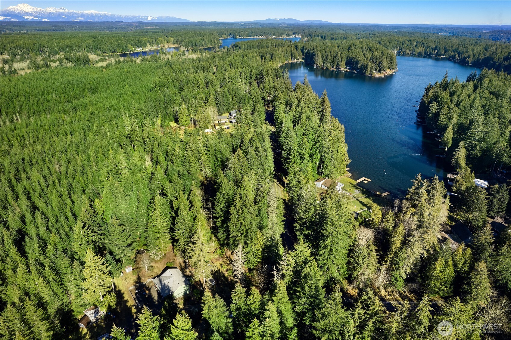 1671 East Phillips Lake Loop Road Shelton, WA 98584 - Photo 4 of 7 a view of a lake with green field