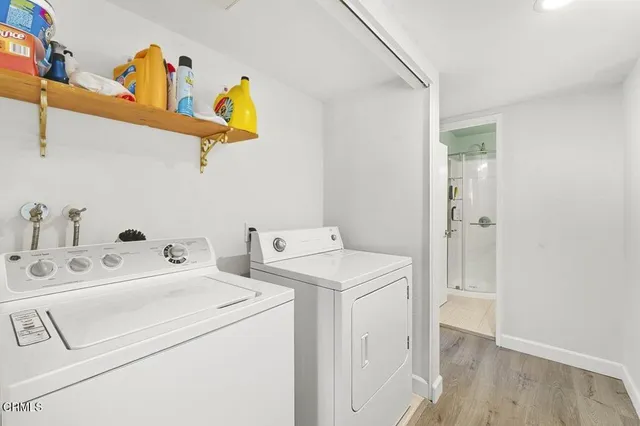 a view of a potted plant in front of a door