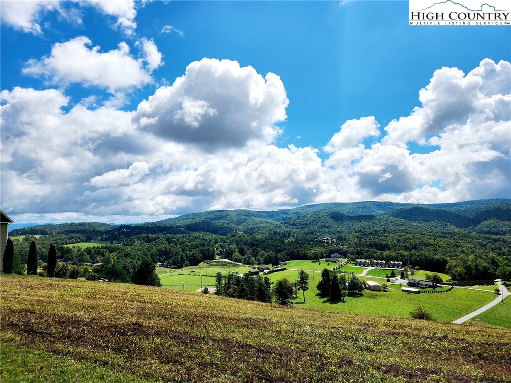 Lot 20 Hartley Knob Road Boone, NC 28607 - Photo 20 of 33 a view of a big yard with plants and large trees