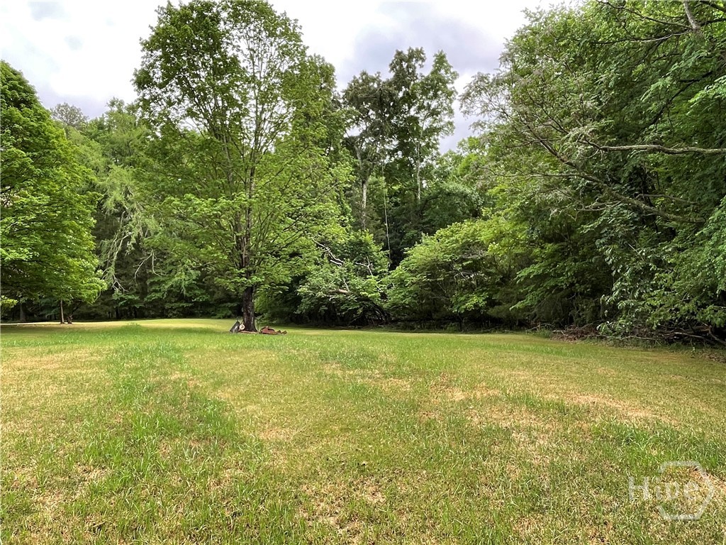 837 Bartram Trace Road Rayle, GA 30660 - Photo 63 of 70 Yard