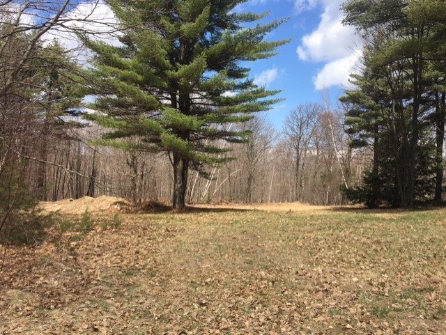 0 Reed Road, Unit 16/16/5 Alton Bay, NH 03810 - Photo 1 of 1